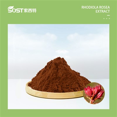 ታክ ናይክ 20240808