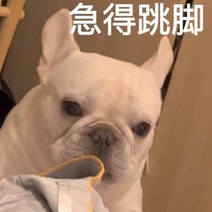 ERGGGDFDH435435