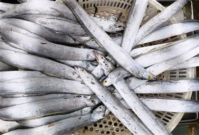 ድሳድስዳድሳድሳድ